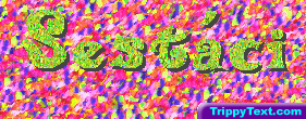 sestaci 3.gif