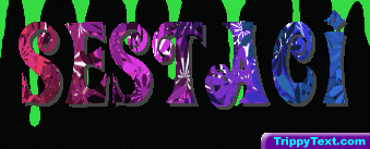 sestaci 5.gif